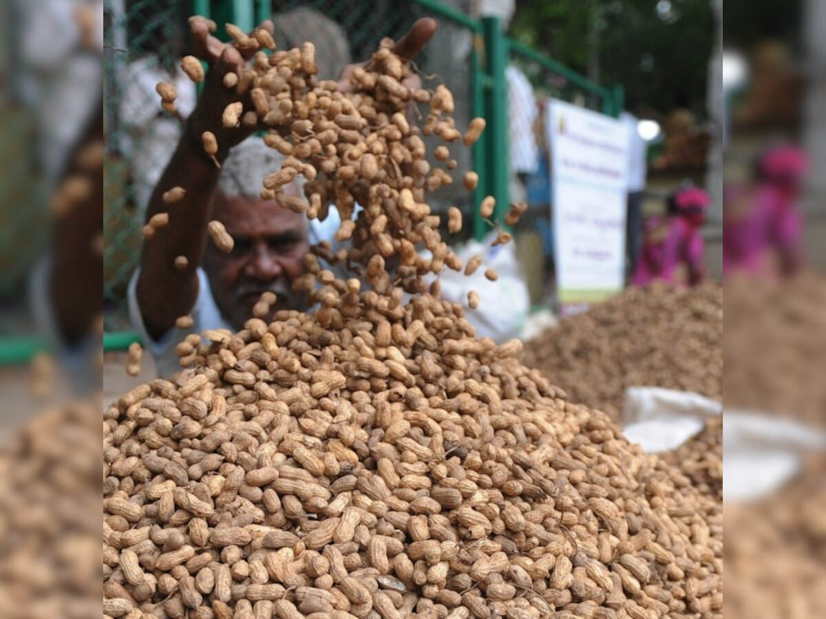 Eating nuts, peanuts everyday can lower your risk of dying