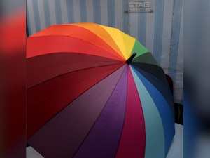 Monsoon special: Umbrella of nostalgia