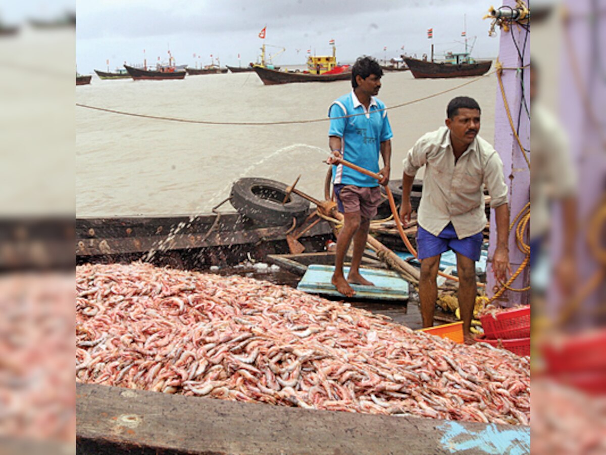 Over 5000 fishermen protest; demand new fishing harbour