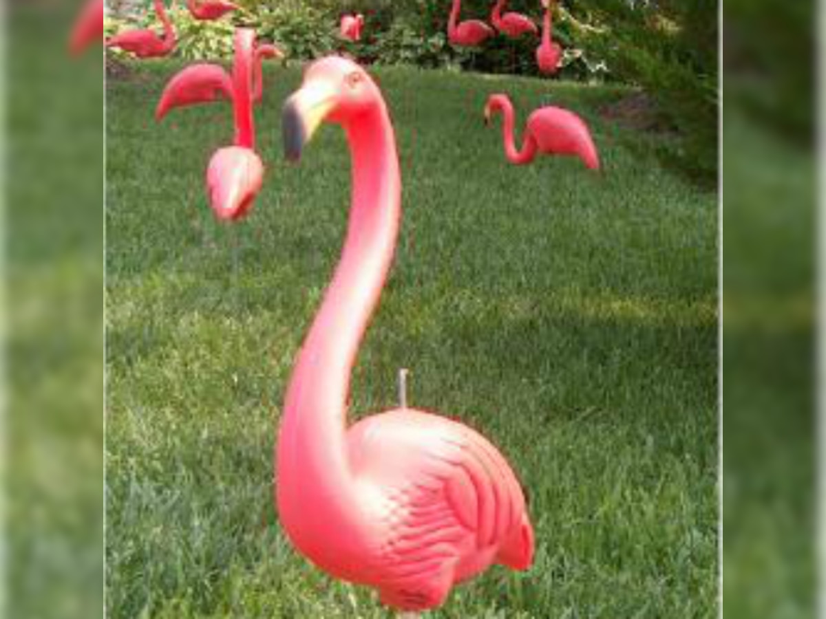 Plastic flamingo creator Donald Featherstone dies