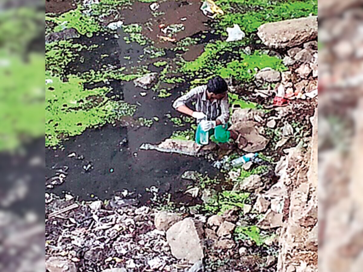 Dahisar river highly polluted, water quality test shows