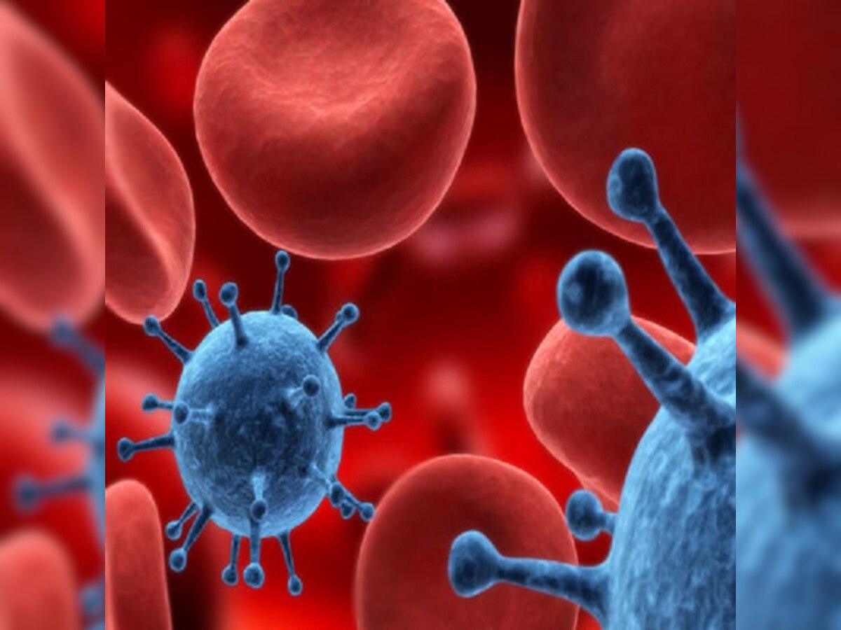 `Decoy` molecule can help to sharply reduce flu death risk