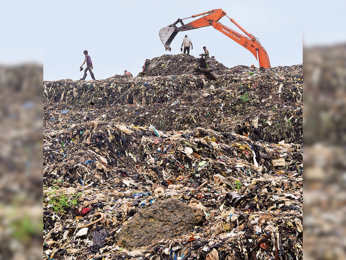 Waste not, want not: On garbage segregation