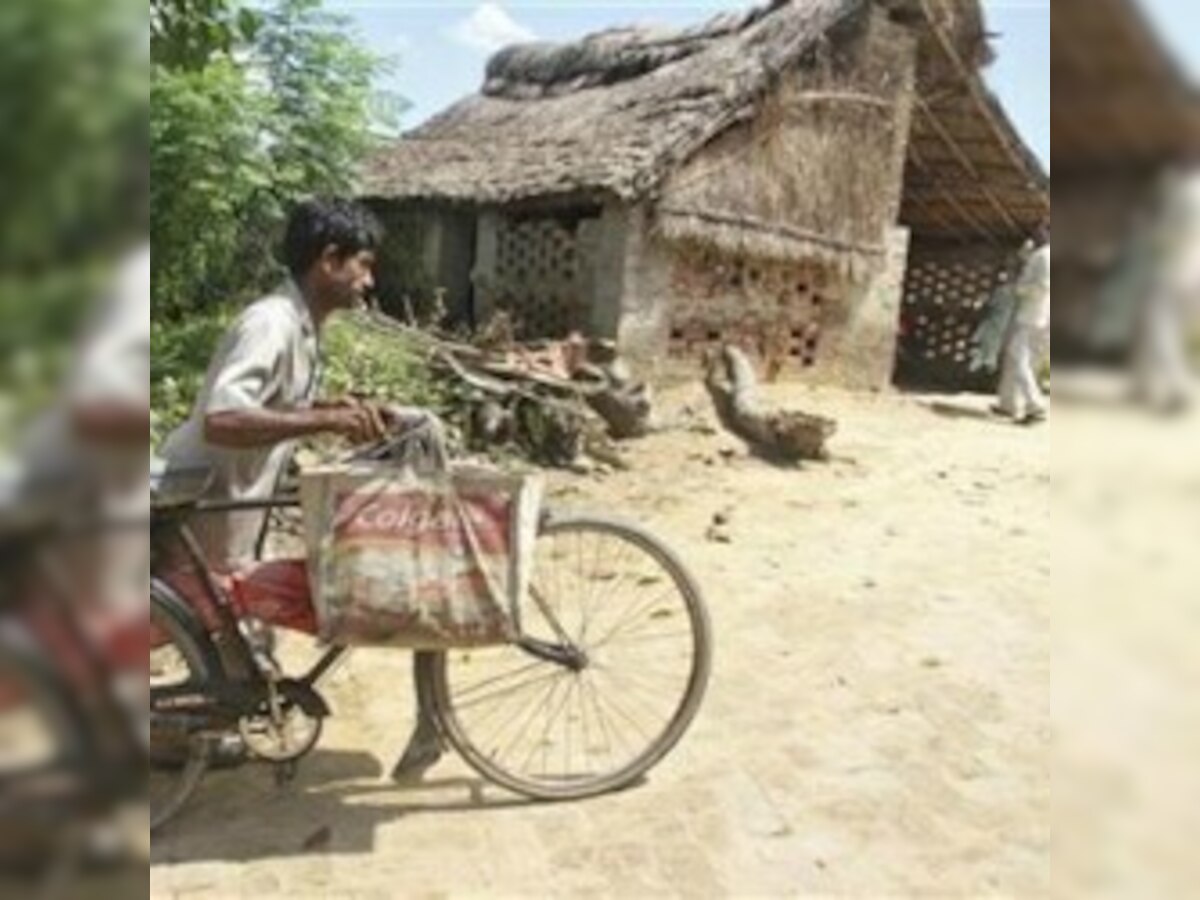 Some 30% rural households belong to SC/ST category: Census