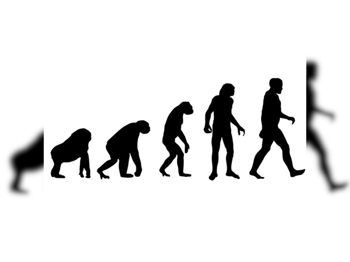 Scientists identify four stages of evolution in the human body