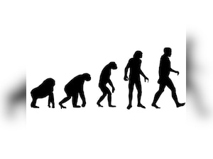 Scientists identify four stages of evolution in the human body