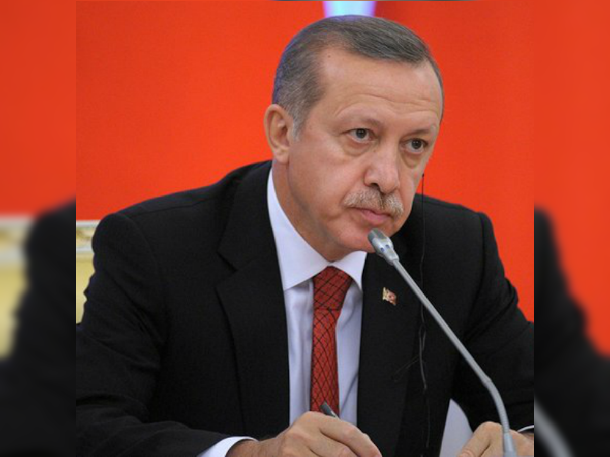 Turkish teen gets sentenced to 11 months jail for insulting President Erdogan