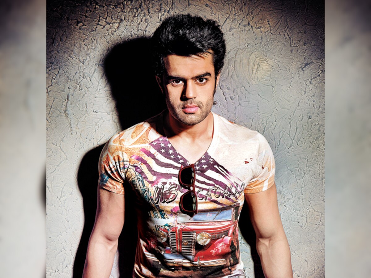 My wife suggested we keep an eco Ganesha: Manish Paul