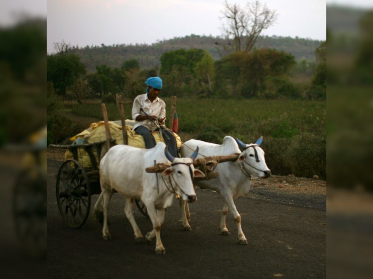 Maharashtra: Family's elders give up food so children can survive