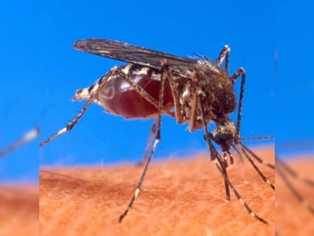 92% people unaware that mosquito causes dengue: New survey