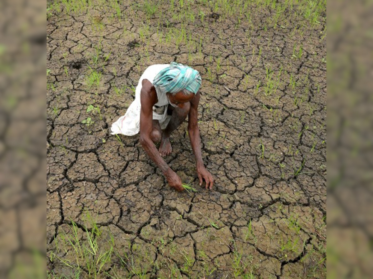 Lack of rain in Marathwada to affect power plants