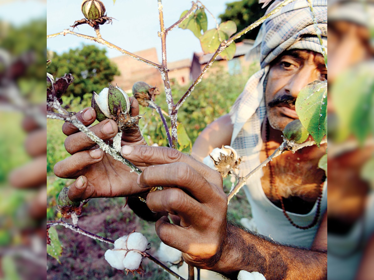 Unearthing the loopholes in Modi government's Soil Health Card scheme