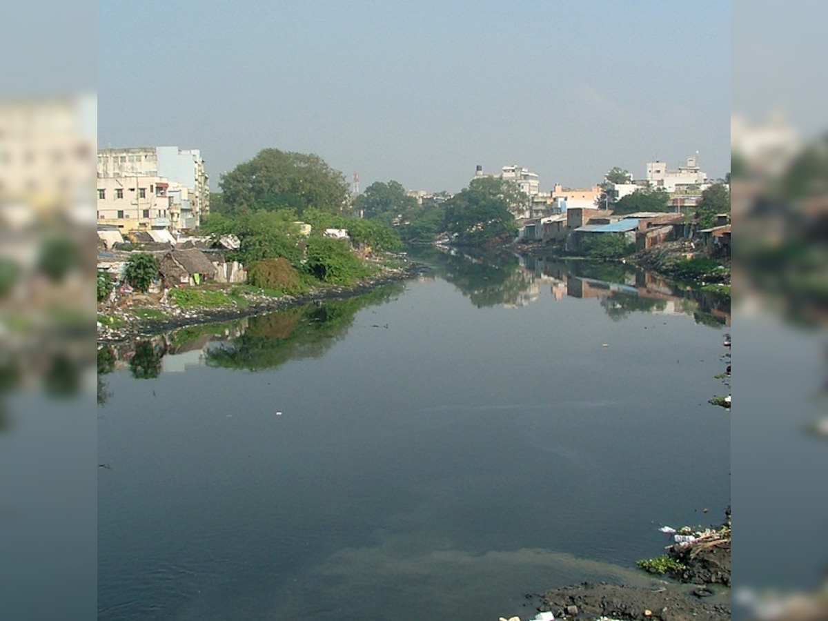 Chennai: Cooum River to now feature an art festival 