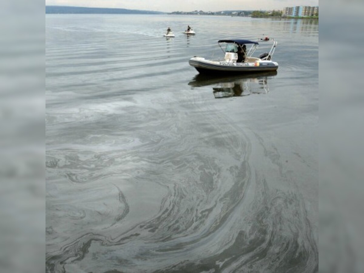 Ocean toxicity dampens rapid evolution of complex life