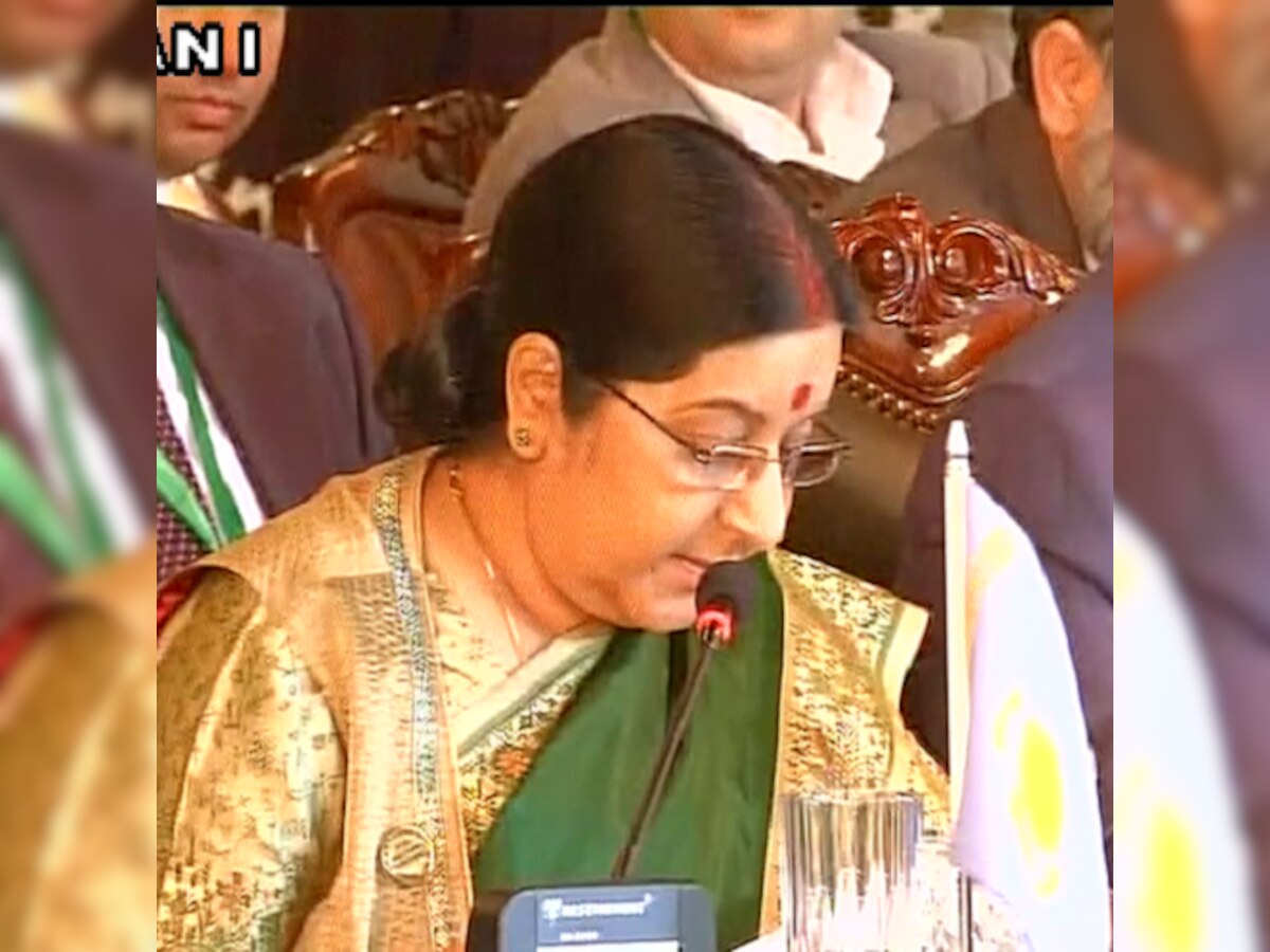 Need to ensure extremist forces do not find safe havens, says Sushma Swaraj