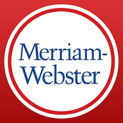 Merriam-Webster declares 'ism' as word of the year for 2015