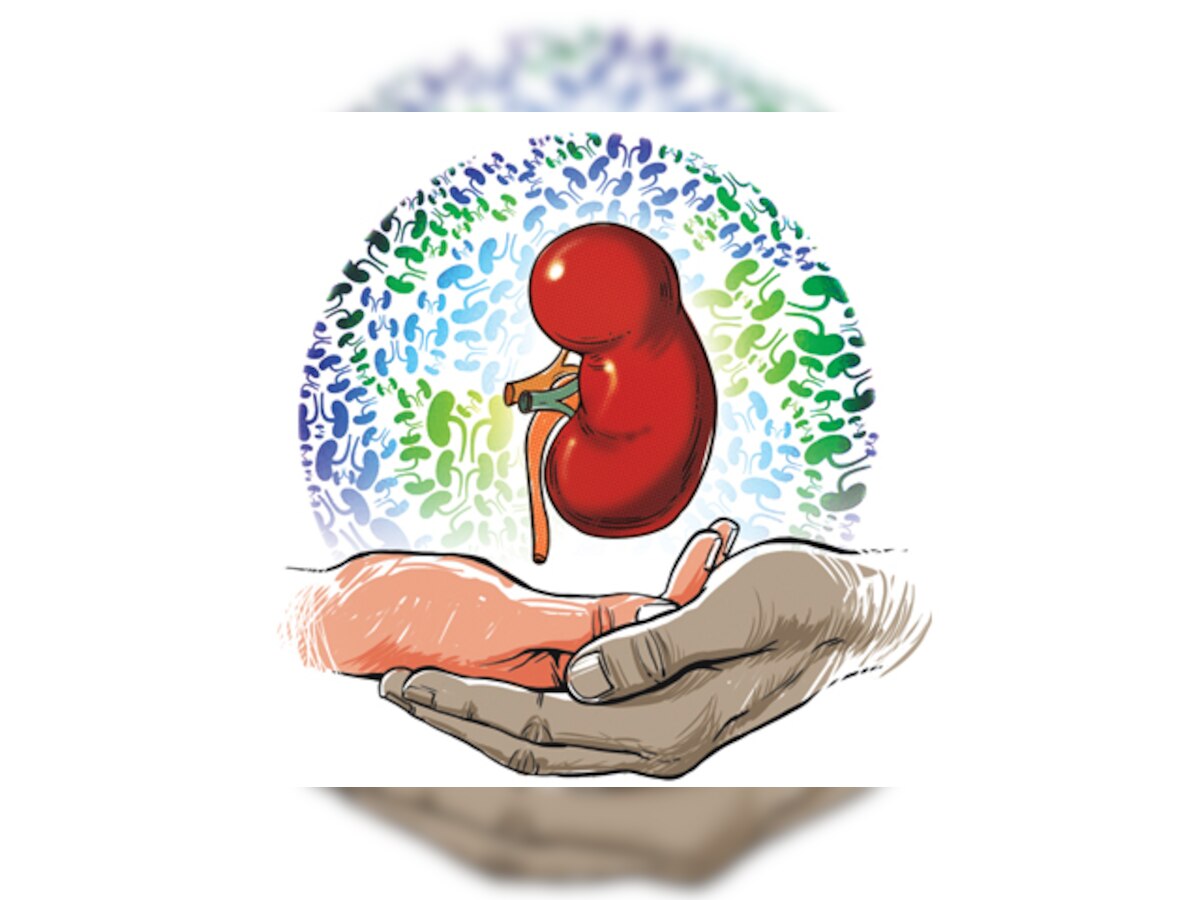 Govt invites public opinion on crucial national kidney transplant registry