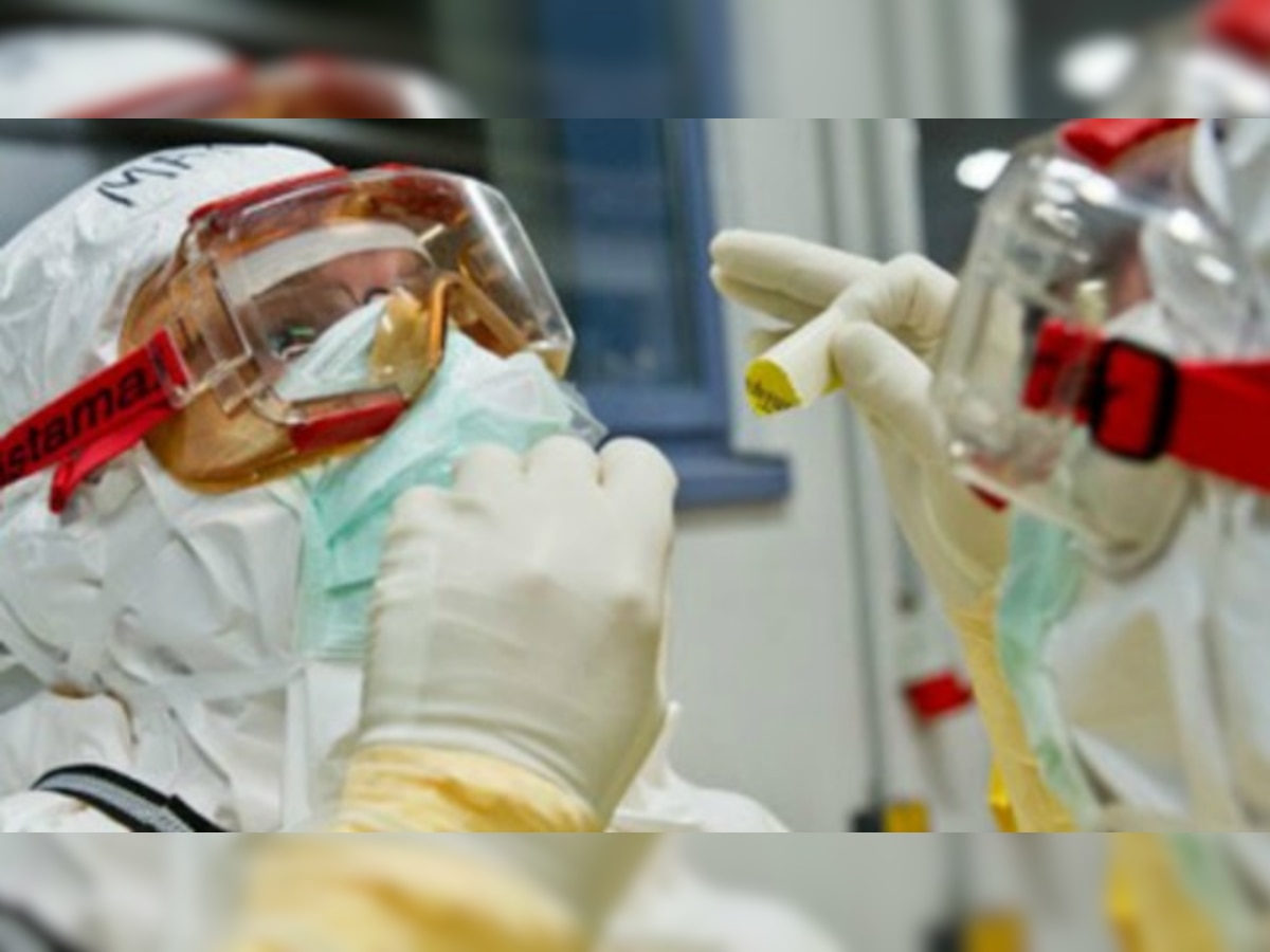 Antibodies of Ebola virus have been found out