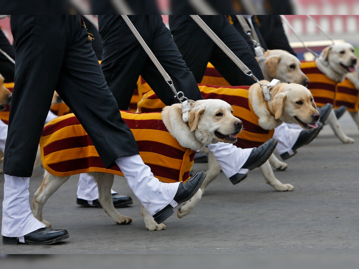 Army dogs to walk down Rajpath this Republic Day after 26 years