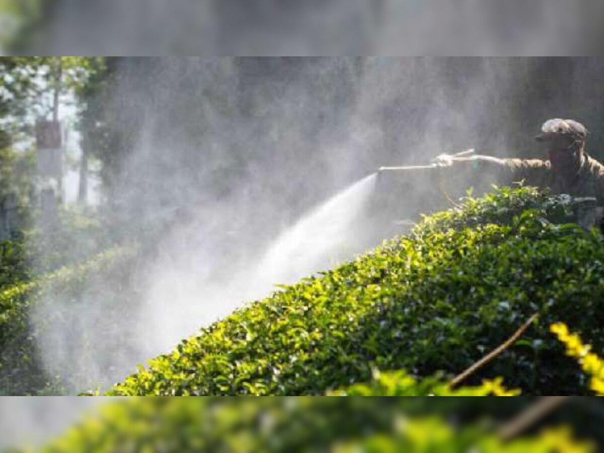 Pests, climate change devastating for tea industry, says Aditya Khaitan ...