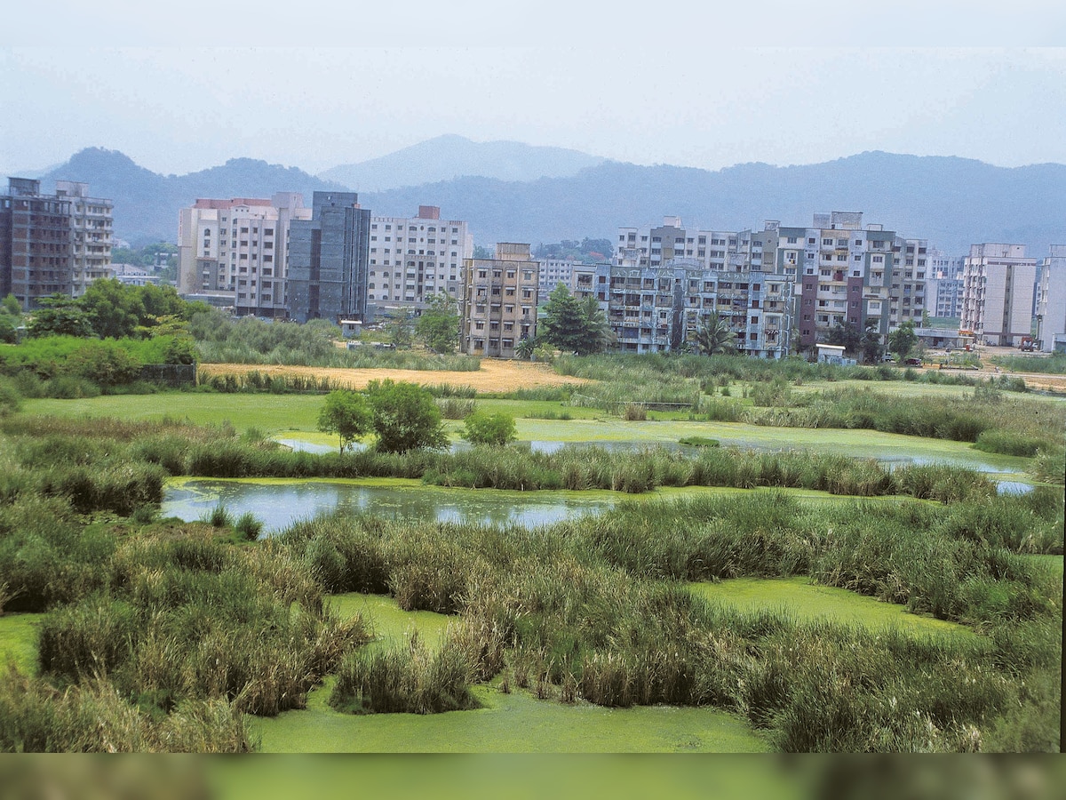 How green were Mumbai's wetlands