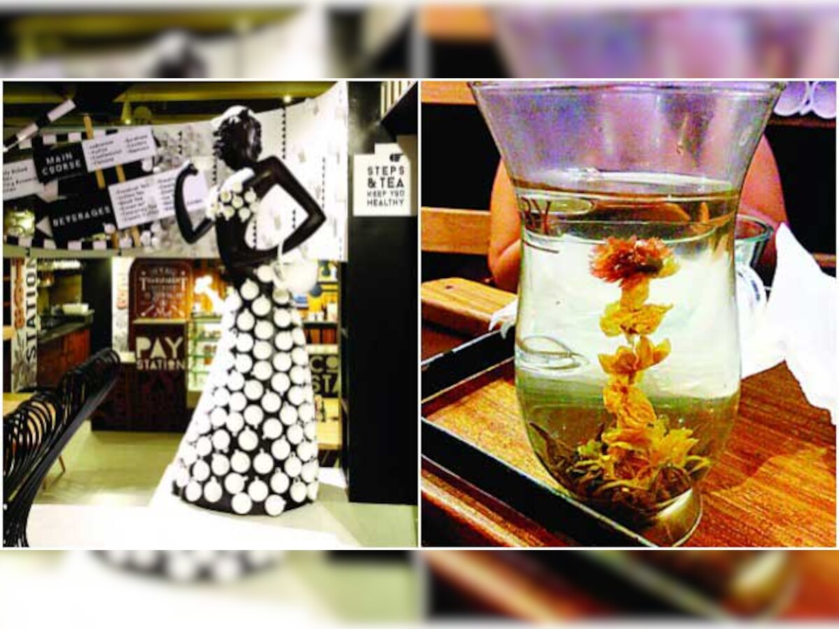 New in town: Watch a tea bud bloom in your cup