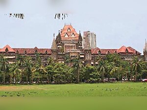 Open to probe in encroachment allegations, BJP tells Bombay High Court