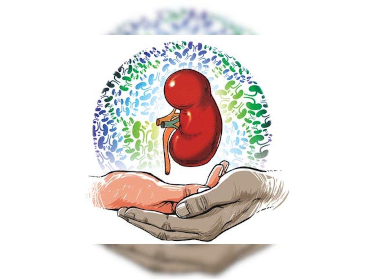 Doctors stresses on kidney disease in children