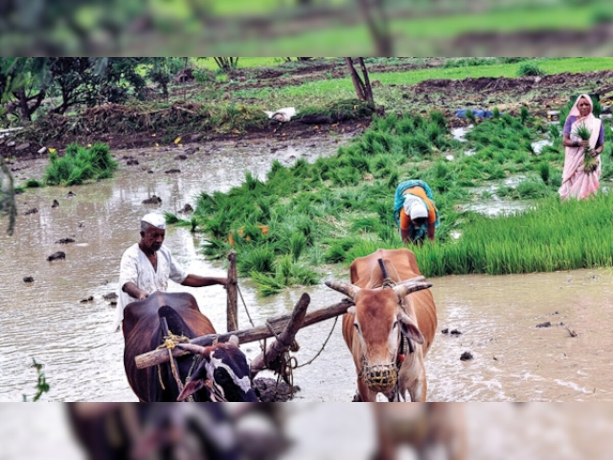 Odisha budget focuses on agriculture; increases allocation by nearly 21%