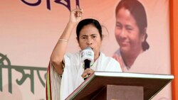 West Bengal Elections: In Congress bastion, Mamata Banerjee points out the Left's past 'atrocity'