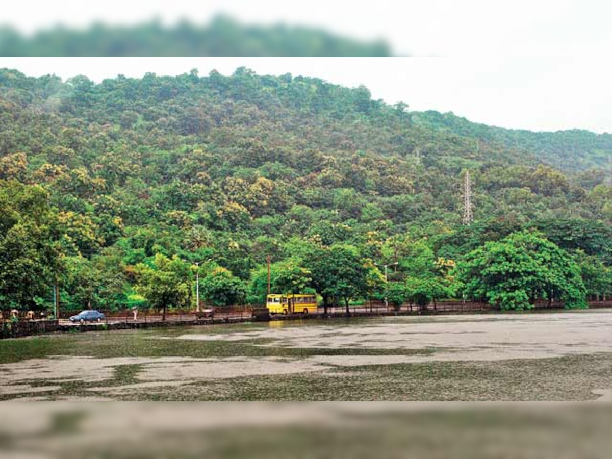 TMC to revive Yeoor lake, build nature park at Patlipada