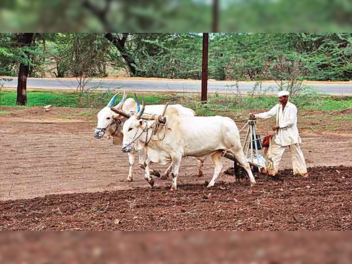 Freedom for farmers