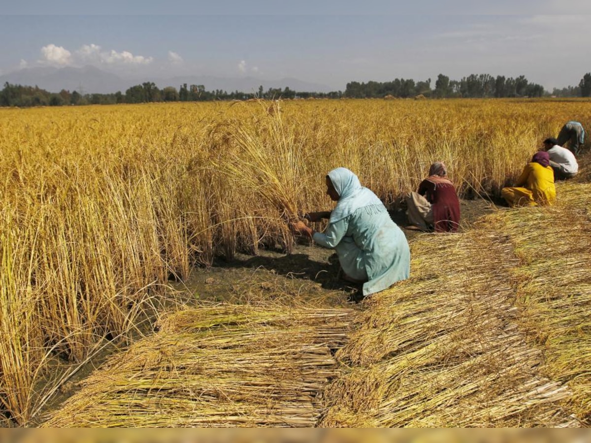 Cultivable land in India declines year on year, but the government is not worried