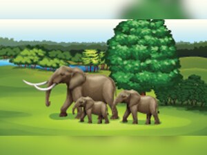 GPS to track elephant movements in central-eastern landscape