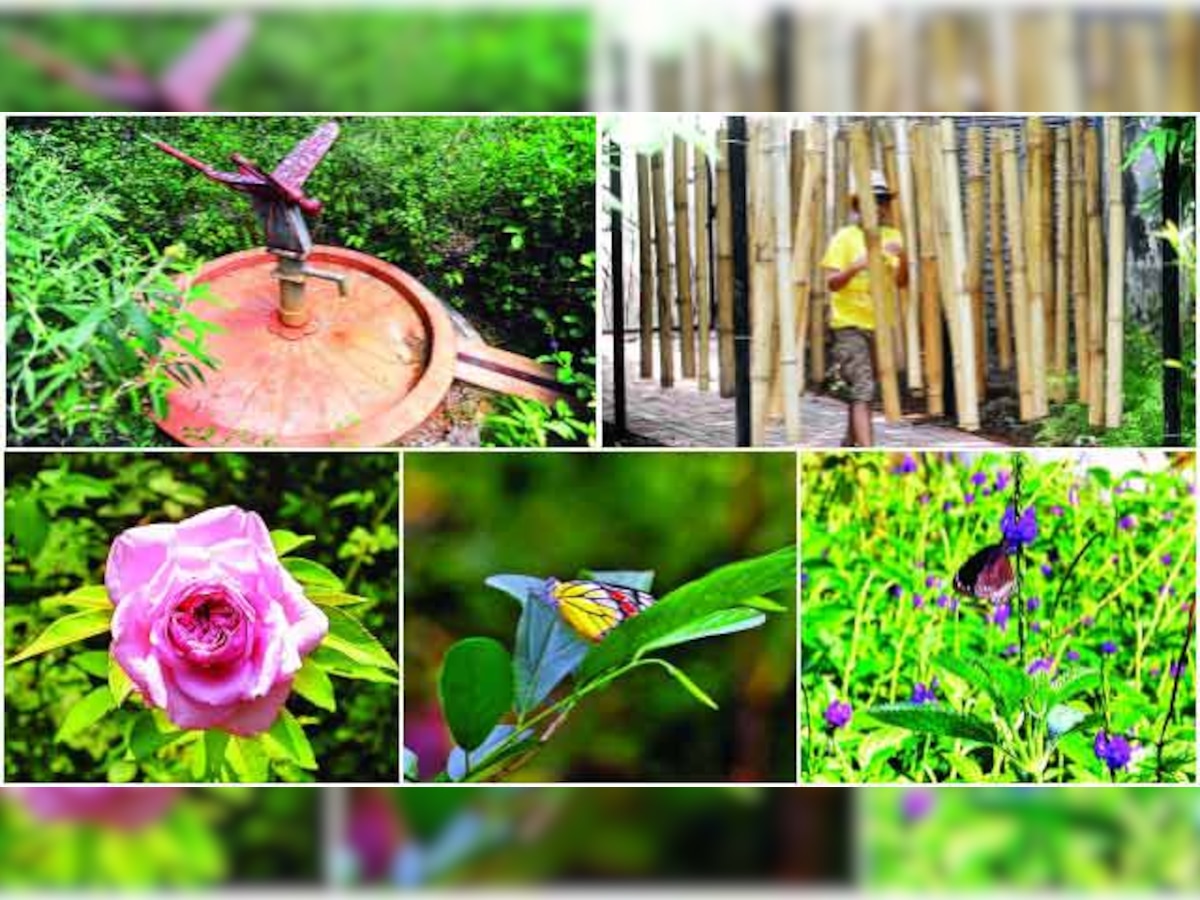 Alibaug’s biodiversity garden brings biology books alive for kids