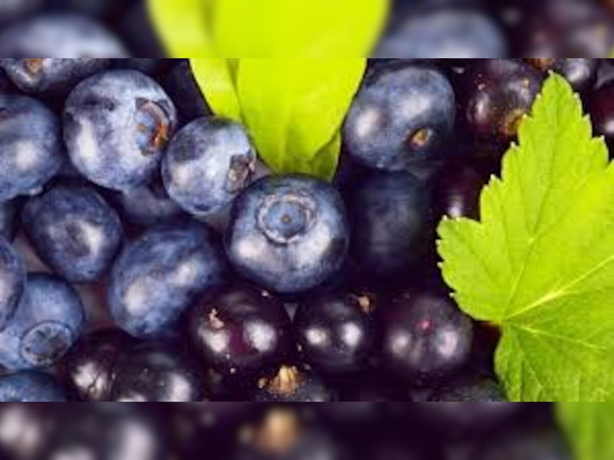 Here are 7 health benefits of 'superfood' blueberry