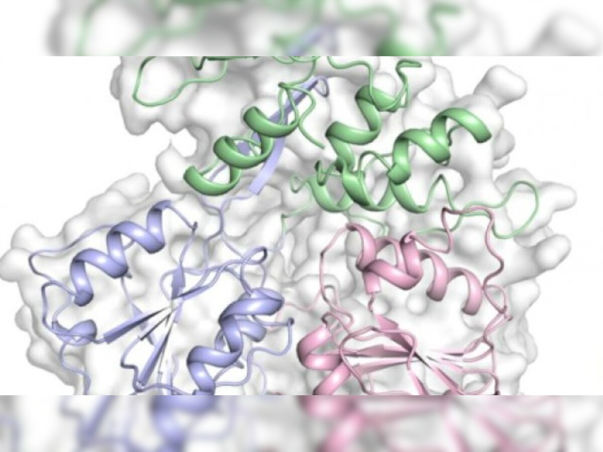 This is what the Zika virus looks like 