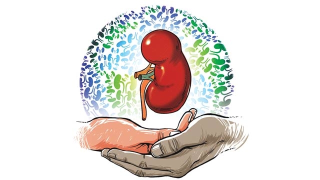 Kidney racket bust in Delhi jolts Mumbai panel into action