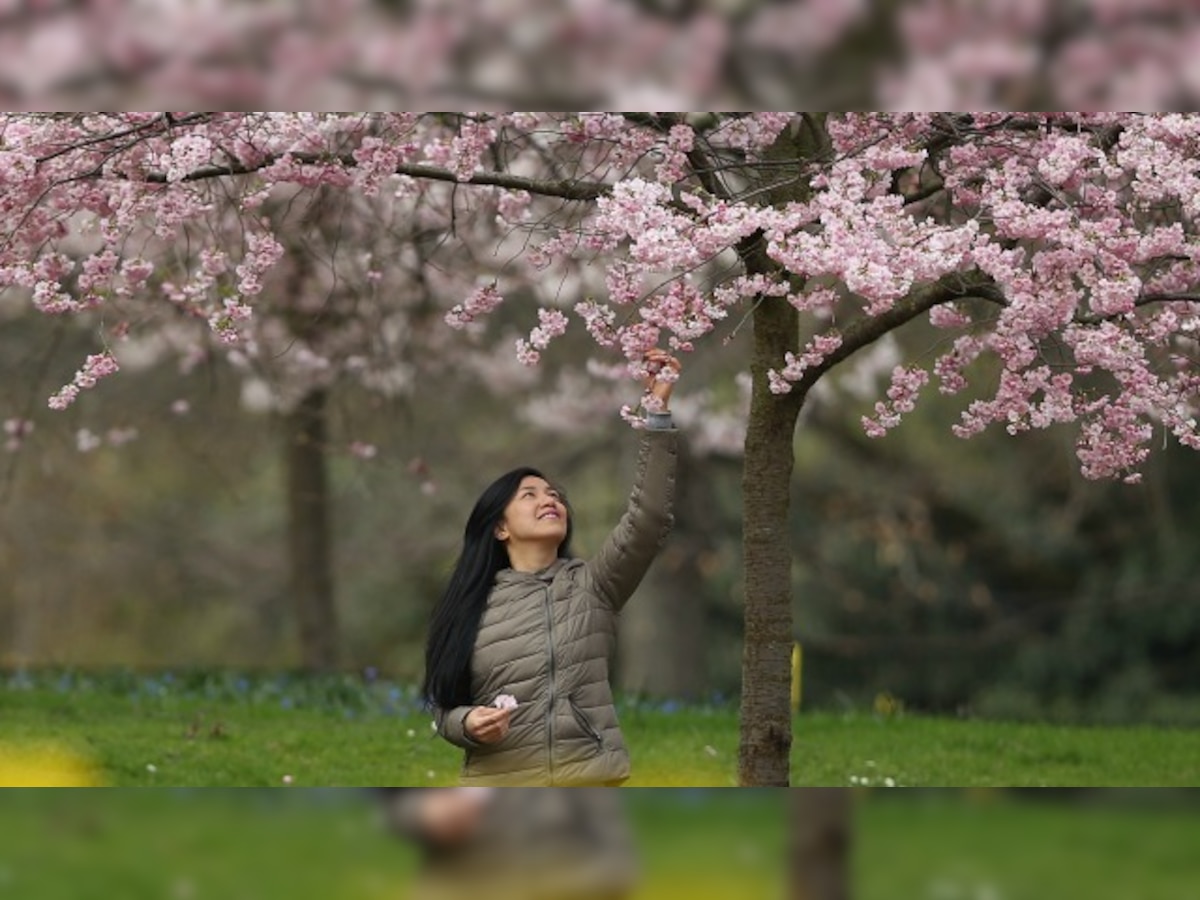 Beat depression, anxiety, heart disease with a stroll in the park 