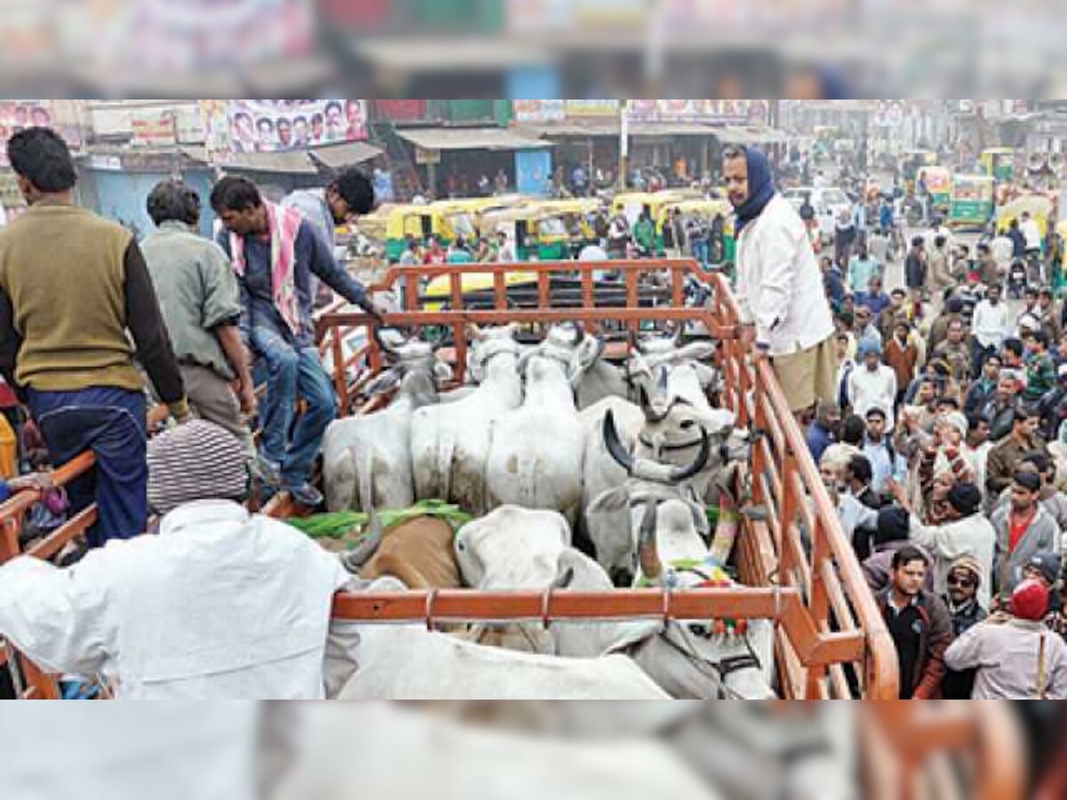 Gau Raksha Dal  force-feed beef smugglers cow dung and make them drink cow urine 