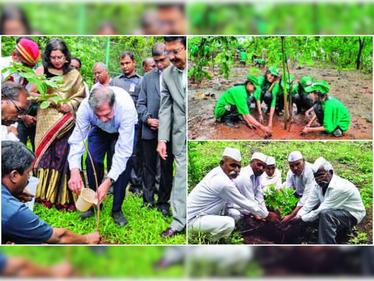 Maharashtra target of planting 2 crore trees in state crossed