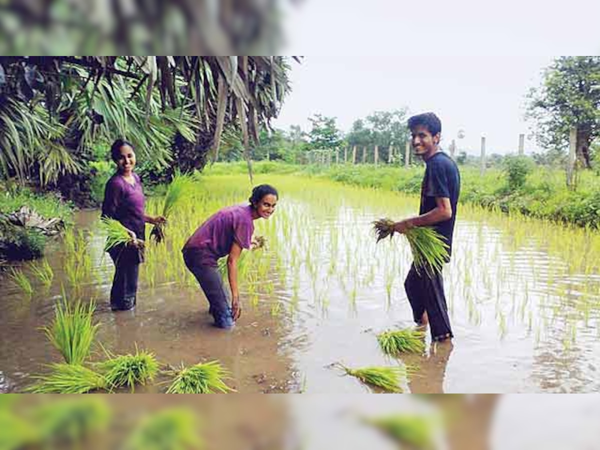 Architects promote use of native crop species