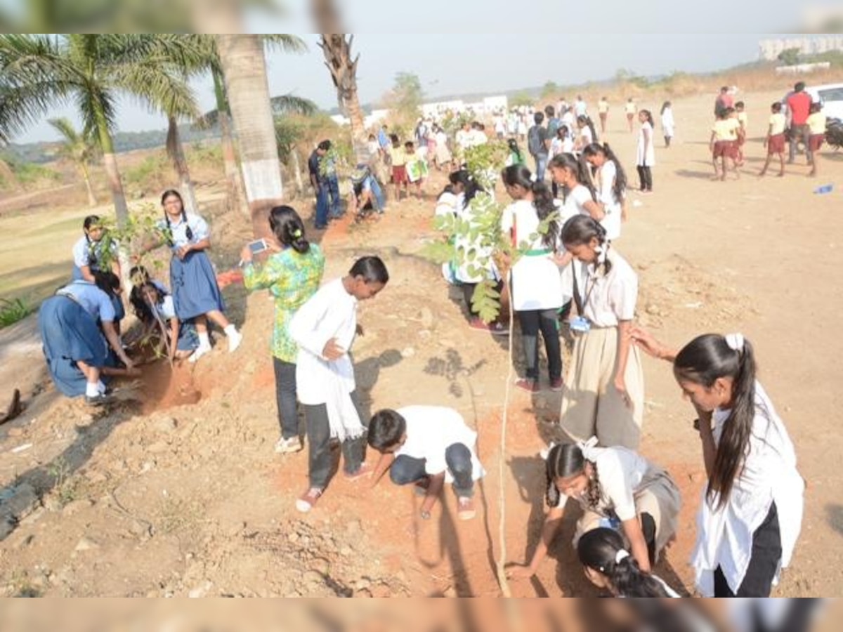 Maharashtra: Students celebrate birthdays of trees they've planted for 16 yrs