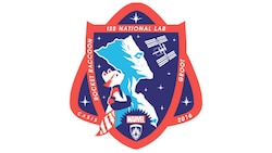 NASA's space station National Lab mission patch pays tribute to Rocket Raccoon and Groot