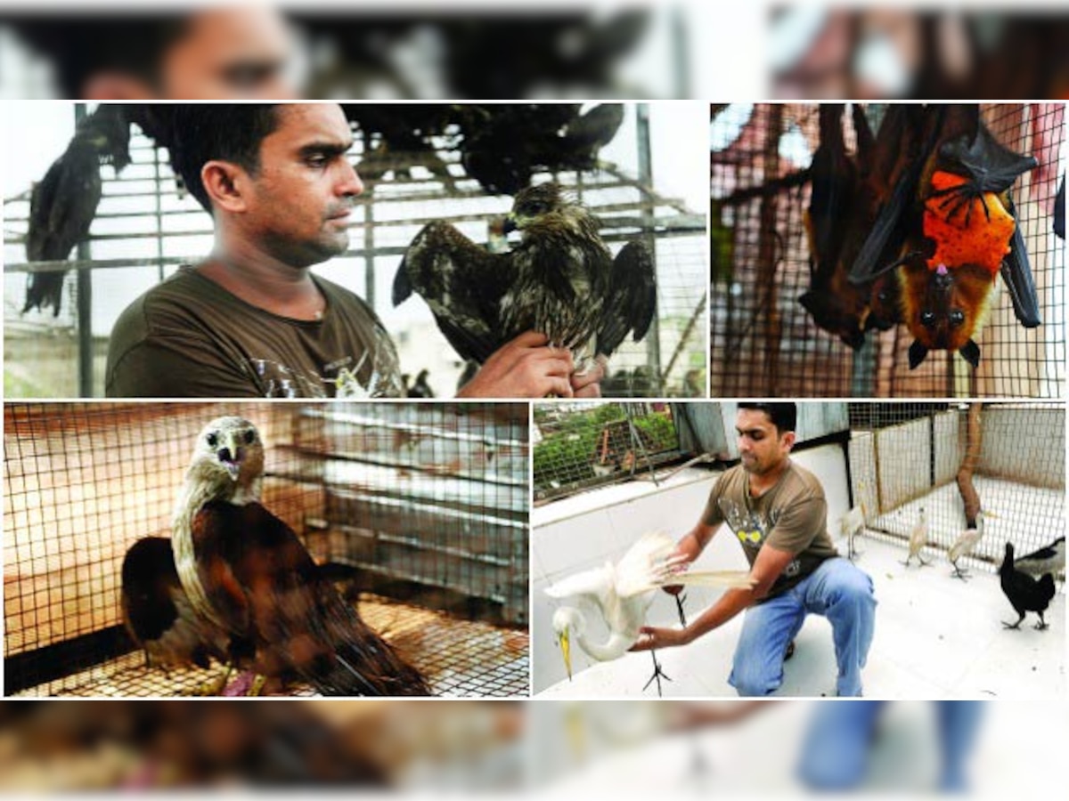 Meet Mumbai's Birdman
