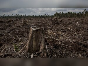 New research shows alarming effects of growing human population