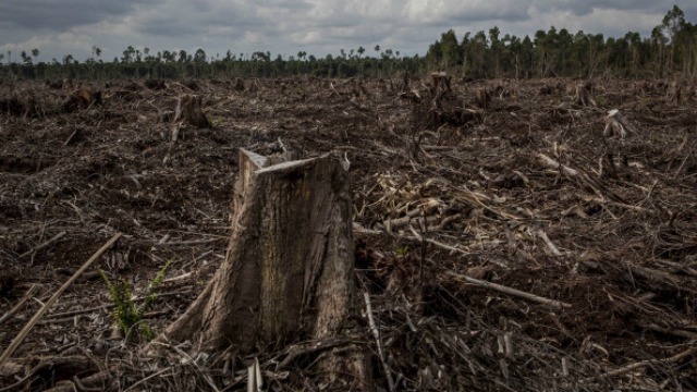 New research shows alarming effects of growing human population
