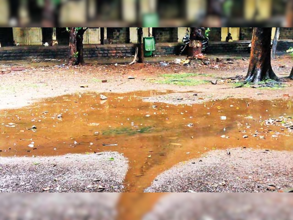 Dengue dread: Doctor's death raises concern over stagnant water in JJ premises