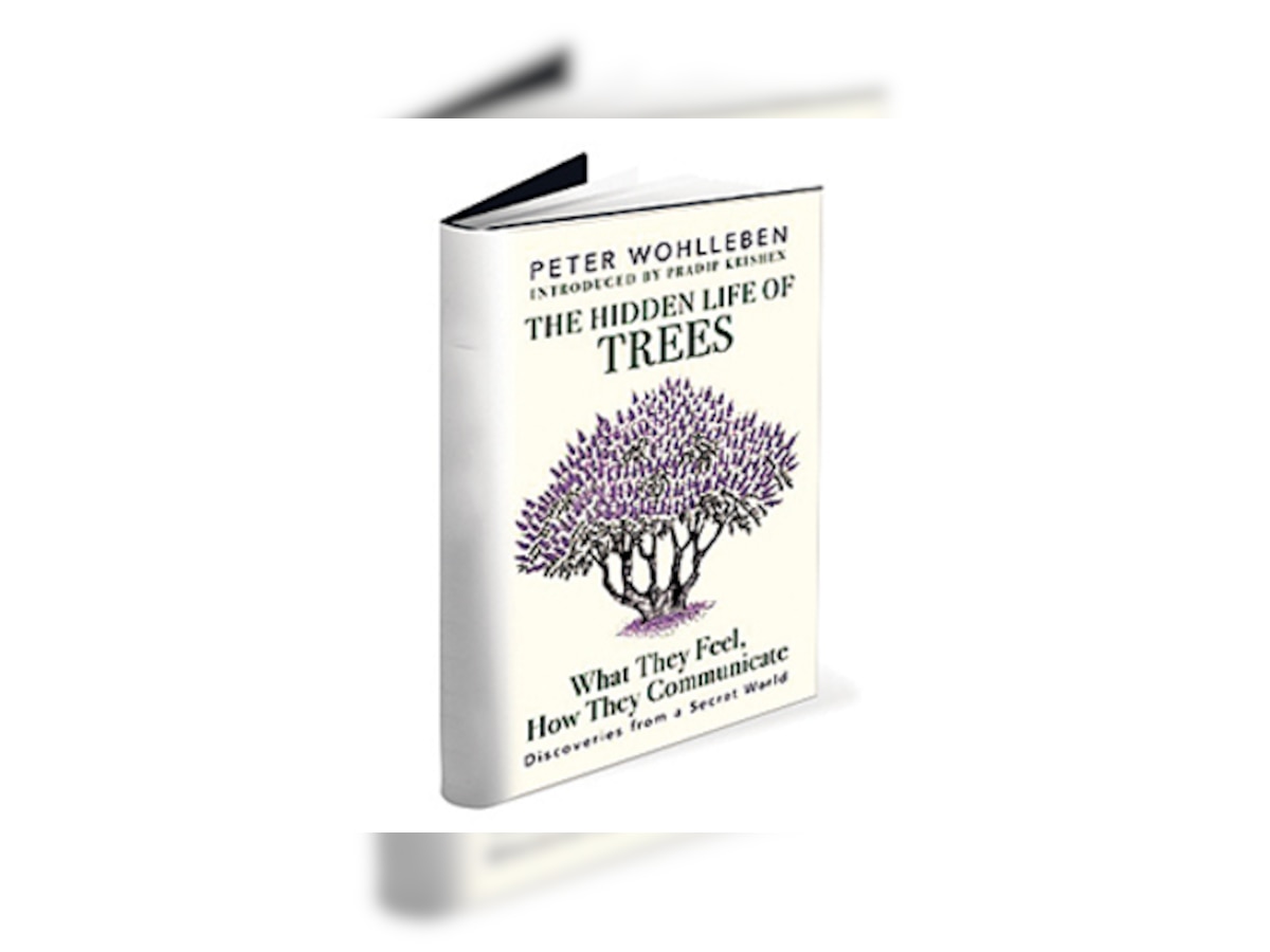 Book Review: 	The Hidden Life Of Trees: What They Feel, How They Communicate – Discoveries From A Secret World