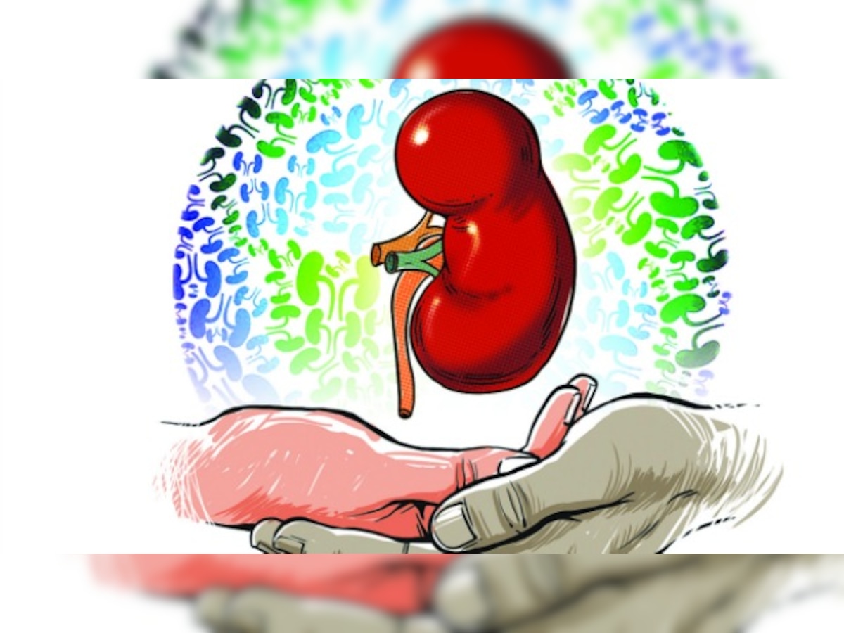 Business of Kidneys: Kerala priest facilitates domino transplants for over fifty patients